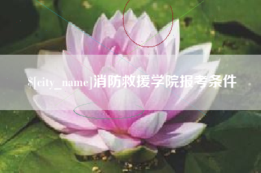 谷城消防救援学院报考条件