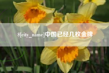 谷城中国已经几枚金牌