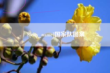 谷城国家队图案