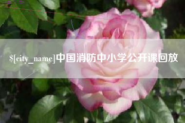 谷城中国消防中小学公开课回放