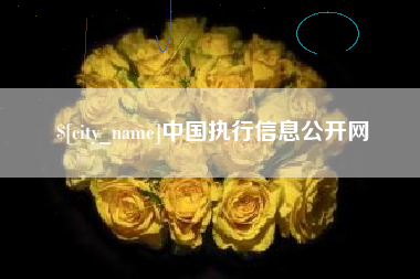 谷城中国执行信息公开网