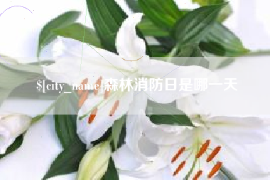 谷城森林消防日是哪一天