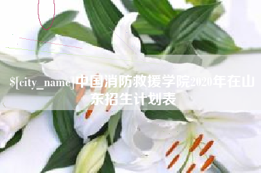 谷城中国消防救援学院2020年在山东招生计划表
