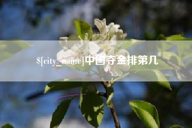 谷城中国夺金排第几