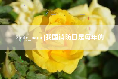 谷城我国消防日是每年的