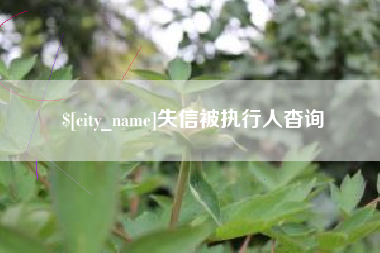 谷城失信被执行人杳询