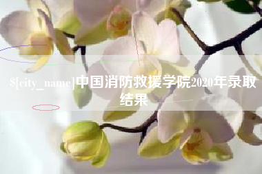 谷城中国消防救援学院2020年录取结果