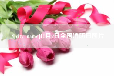 谷城11月9日全国消防日图片