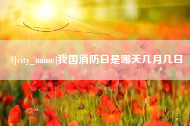 谷城我国消防日是哪天几月几日
