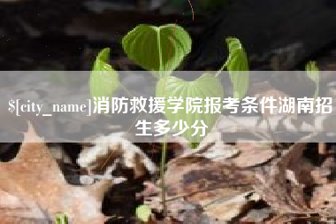 谷城消防救援学院报考条件湖南招生多少分