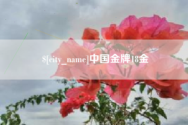 谷城中国金牌18金