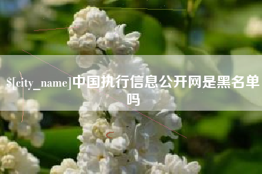 谷城中国执行信息公开网是黑名单吗
