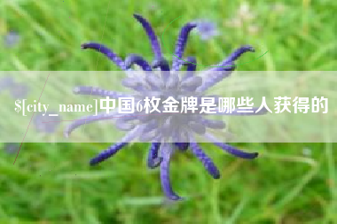谷城中国6枚金牌是哪些人获得的