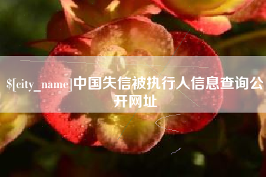 谷城中国失信被执行人信息查询公开网址