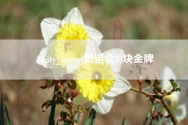 谷城奥运会39块金牌