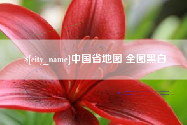 谷城中国省地图 全图黑白