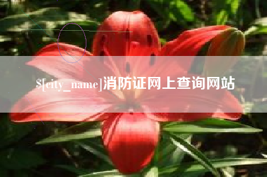 谷城消防证网上查询网站
