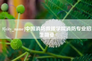 谷城中国消防救援学院消防专业招生简章