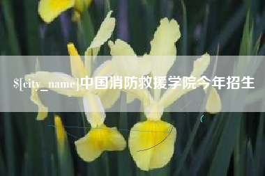 谷城中国消防救援学院今年招生