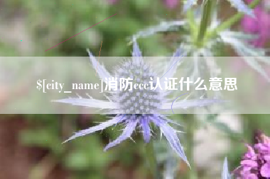 谷城消防ccc认证什么意思