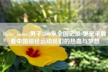 谷城男子5000米全国记录-更是承载着中国田径运动员们的热血与梦想