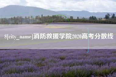 谷城消防救援学院2020高考分数线