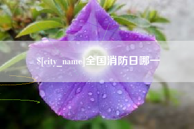 谷城全国消防日哪一