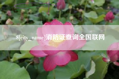 谷城消防证查询全国联网