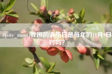 谷城我国的消防日是每年的11月9日对吗？