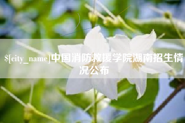 谷城中国消防救援学院湖南招生情况公布