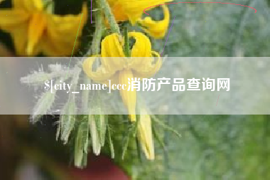 谷城ccc消防产品查询网