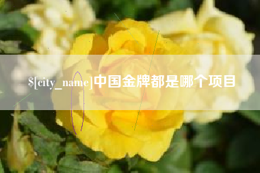 谷城中国金牌都是哪个项目