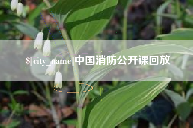 谷城中国消防公开课回放