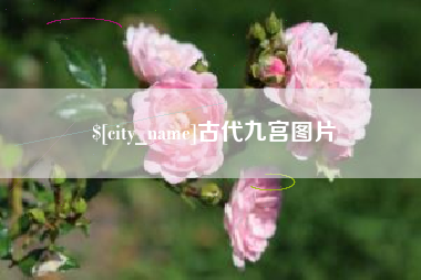 谷城古代九宫图片