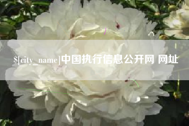 谷城中国执行信息公开网 网址