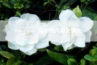 谷城中国的几块金牌2021