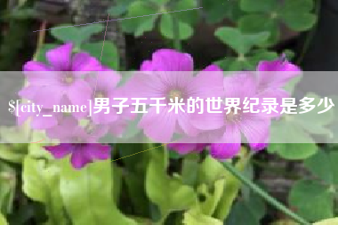 谷城男子五千米的世界纪录是多少