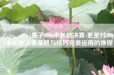谷城男子5000米长跑决赛-更是对5000米长跑决赛策略与技巧完美运用的体现