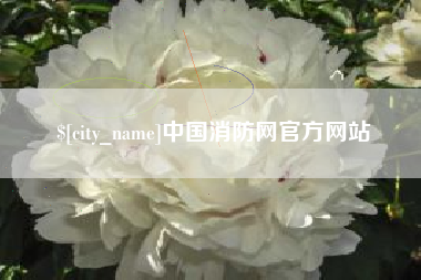 谷城中国消防网官方网站