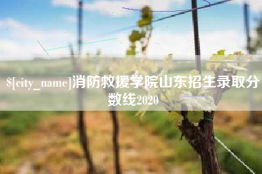 谷城消防救援学院山东招生录取分数线2020