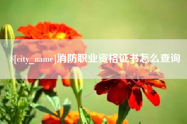谷城消防职业资格证书怎么查询