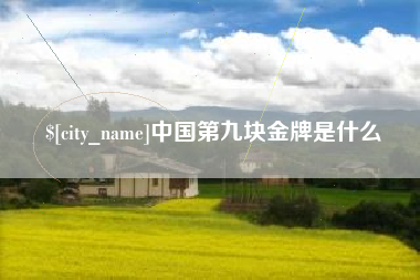 谷城中国第九块金牌是什么