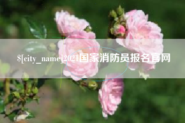 谷城2021国家消防员报名官网