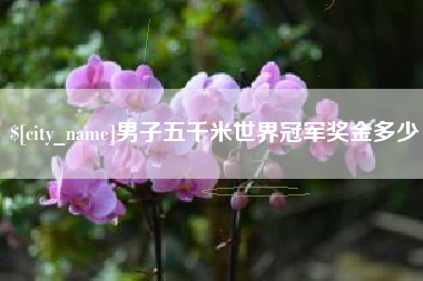 谷城男子五千米世界冠军奖金多少