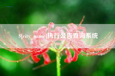 谷城执行公告查询系统