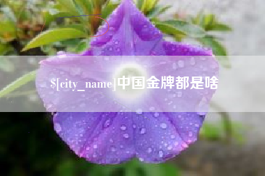谷城中国金牌都是啥