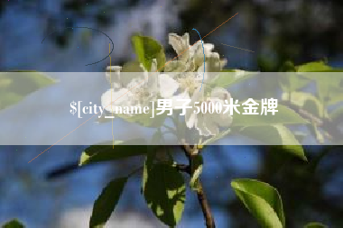 谷城男子5000米金牌