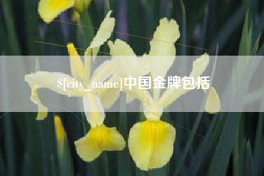 谷城中国金牌包括