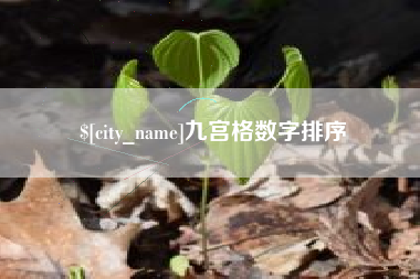 谷城九宫格数字排序