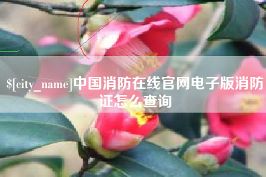 谷城中国消防在线官网电子版消防证怎么查询